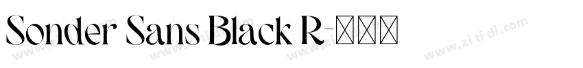 Sonder Sans Black R字体转换 Sonder Sans Black R字体转换